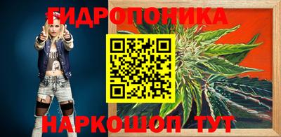 Альфа ПВП Сланцы