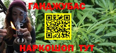 Альфа ПВП Сланцы