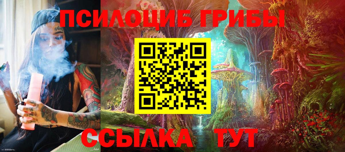 Галлюциногенные грибы Psilocybe  Вход с VPN  Азов  Галлюциногенные грибы Psilocybe 